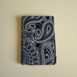 Protège passeport Bleu Chambray / Lilas