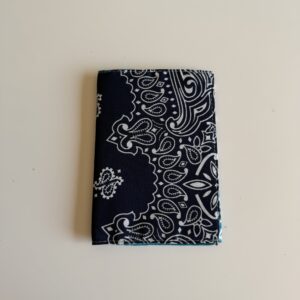 Protège passeport Marine / Turquoise