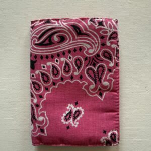 Protège passeport Fuchsia / Rouge