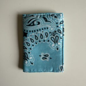 Protège passeport Ciel / Menthe